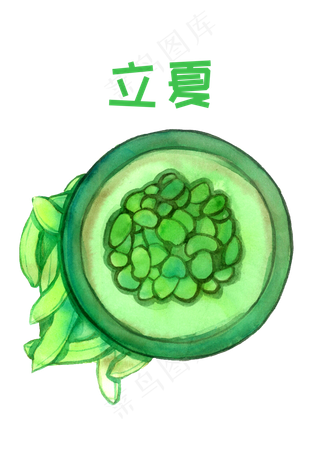 立夏夏天扁豆胡豆绿色食物夏日食