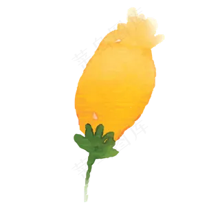 一株黄色未开放的卡通花