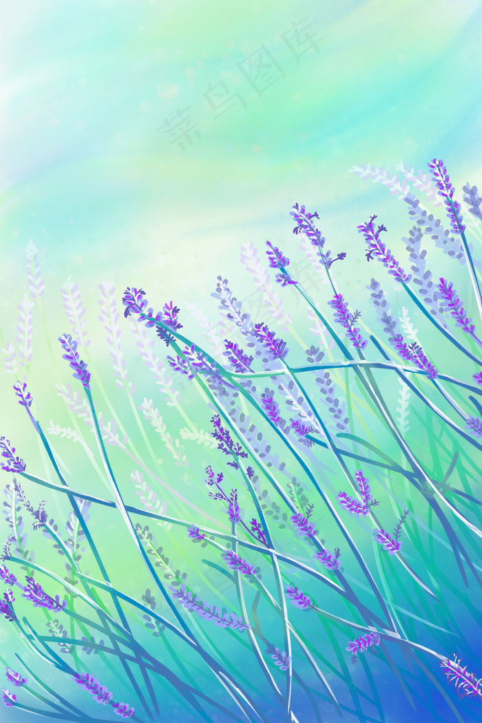 色彩缤纷繁花薰衣草(3545*5315px 300 dpi )