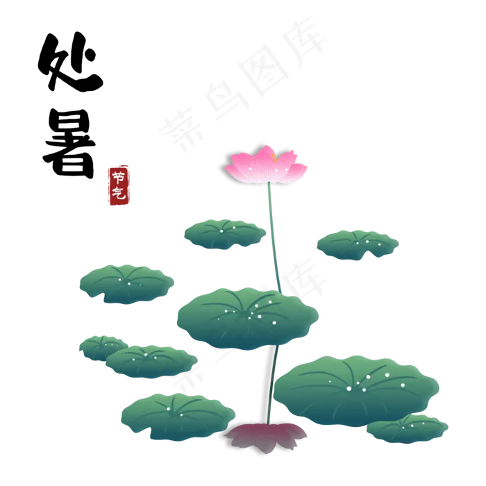 处暑清凉荷花(2000X2000(DPI:300))psd模版下载