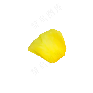 一片黄色玫瑰花瓣