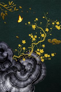 中国风背景 古典背景