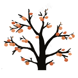 二十四节气立冬柿子树