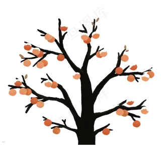 二十四节气立冬柿子树