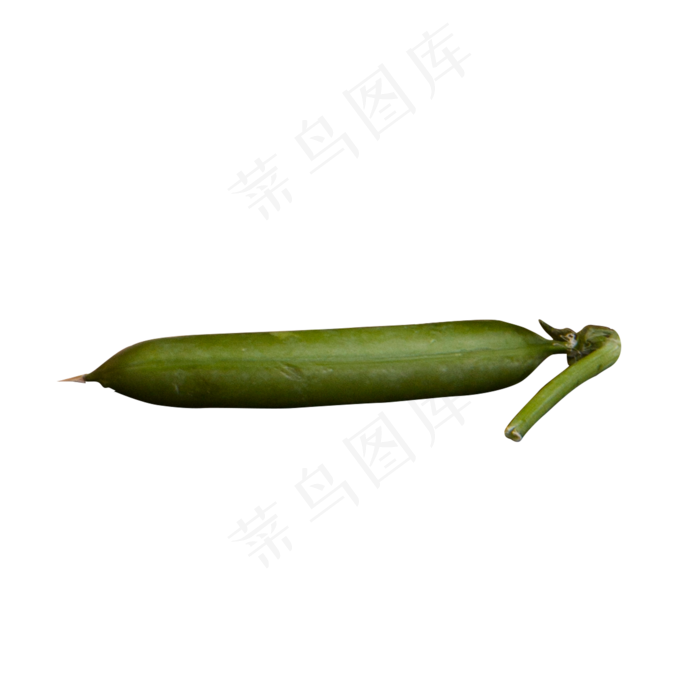 绿色圆弧蔬菜食物元素(2000X2000(DPI:300))psd模版下载