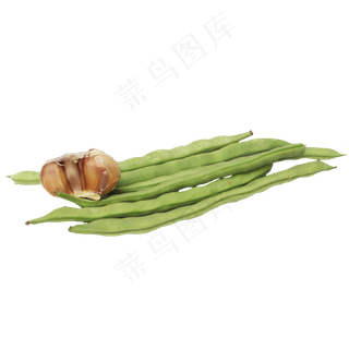 大蒜豆角蔬菜组合