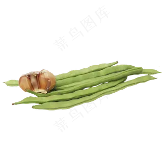大蒜豆角蔬菜组合