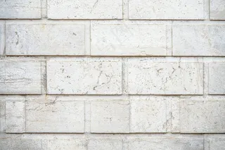 背景为白色长方形石头的墙的特写镜头
