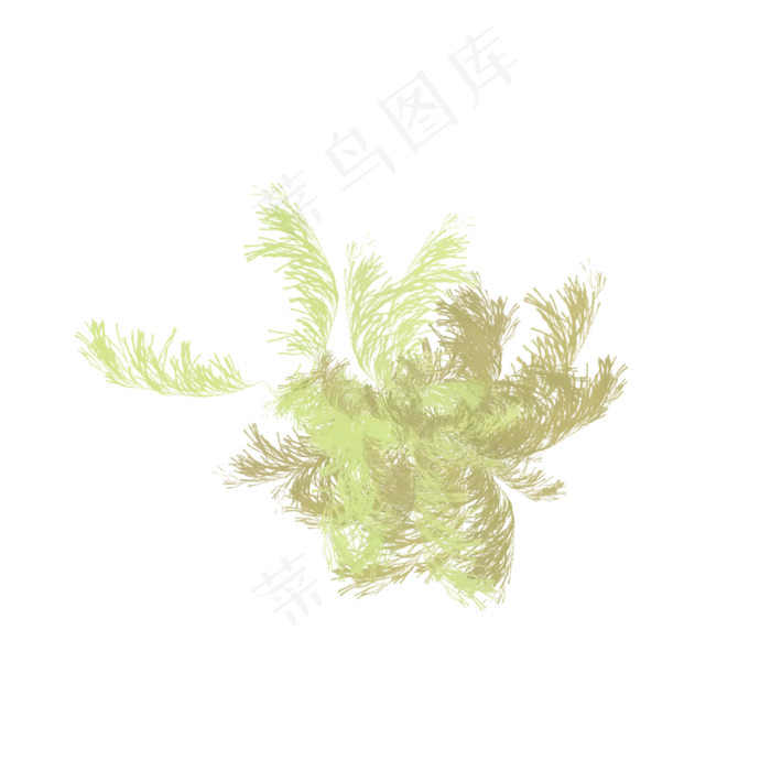 秋天枯草黄色植物(2000X2000(DPI:72))psd模版下载