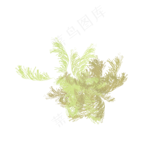 秋天枯草黄色植物