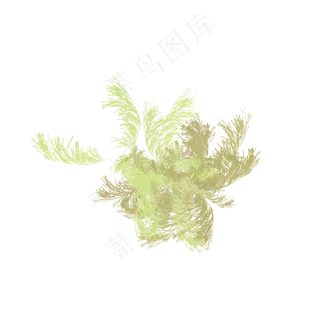 秋天枯草黄色植物