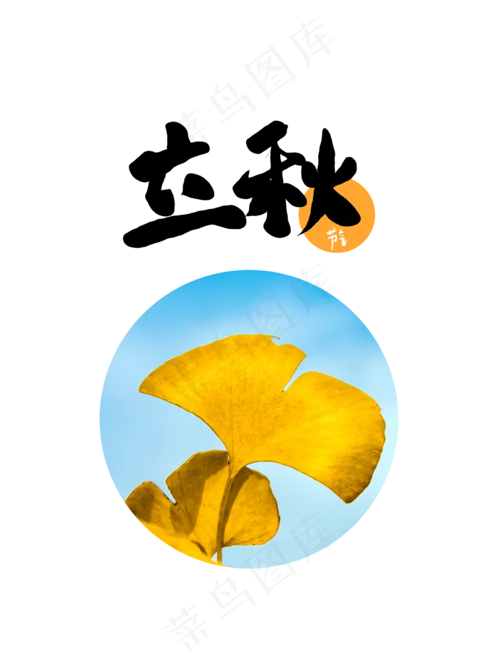 立秋节气银杏叶(2500X3300(DPI:300))psd模版下载