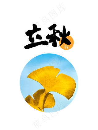 立秋节气银杏叶