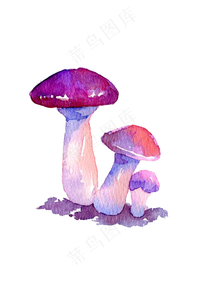 菌类蘑菇秋天秋季菇类(2118X3072(DPI:300))psd模版下载