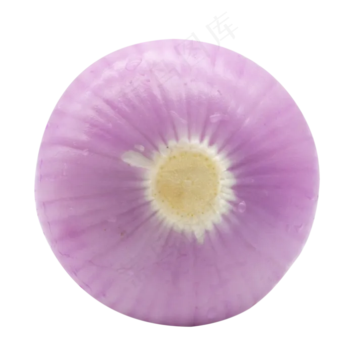 洋葱蔬菜食物(3000X3000(DPI:300))