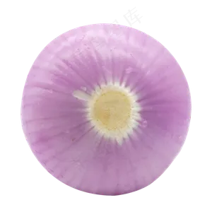洋葱蔬菜食物