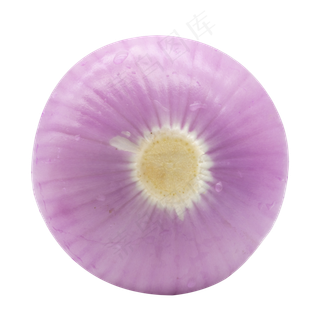 洋葱蔬菜食物
