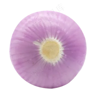 洋葱蔬菜食物