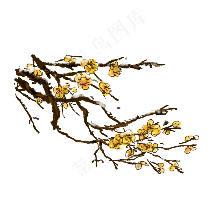 中国风冬天腊梅黄色免抠(2000X2000(DPI:300))psd模版下载