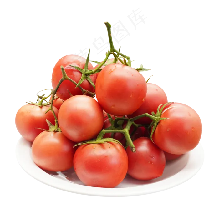 圣女果西红柿(2000X2000(DPI:300))