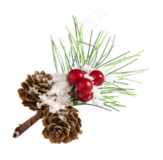 圣诞雪地圣诞节圣诞松果