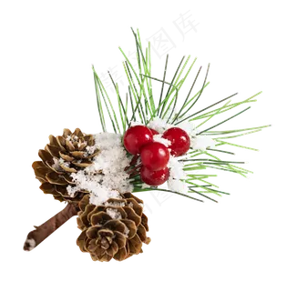 圣诞雪地圣诞节圣诞松果