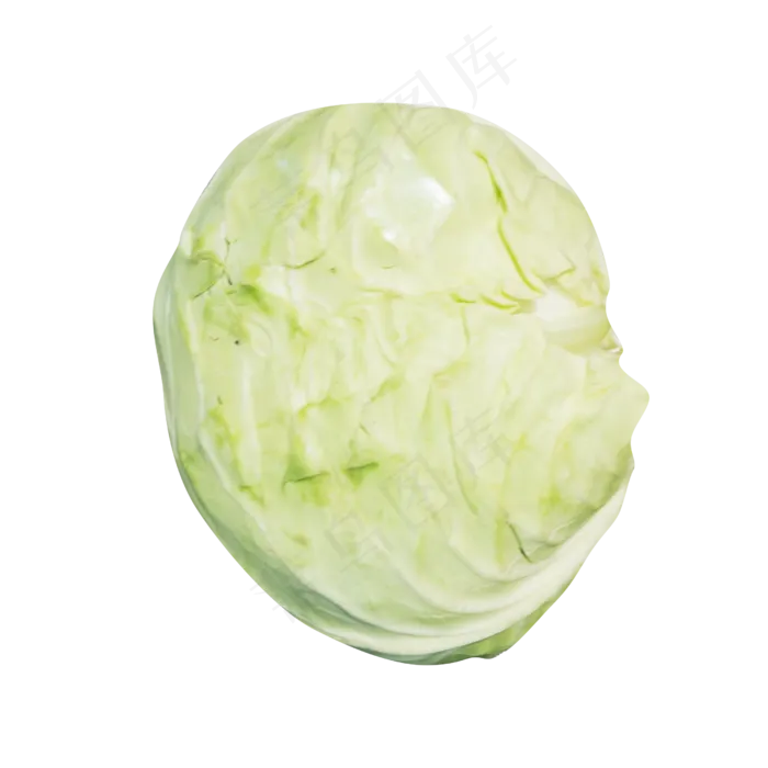 青色包菜(2500*2500px 300 dpi )