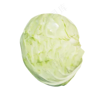 青色包菜 青色包菜