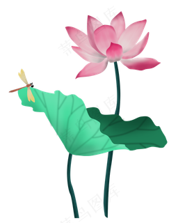 夏天荷花荷叶蜻蜓仿真水彩