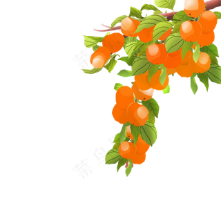 卡通红色的桔子