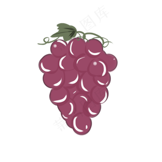 葡萄水果植物生长绿色卡通