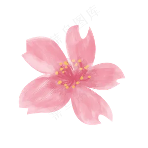 樱花花瓣png下载,免抠元素