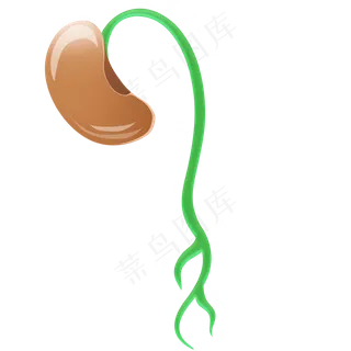 豆芽可爱绿色食品种子生长