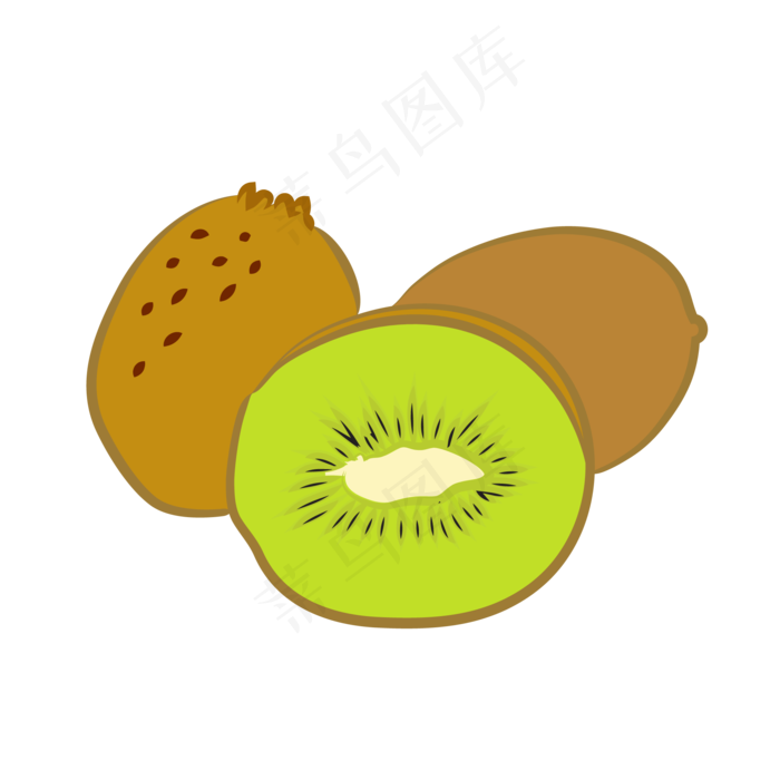 新鲜水果猕猴桃矢量图