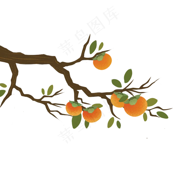 秋天丰收手绘金黄的柿子(1500X1500(DPI:300))psd模版下载