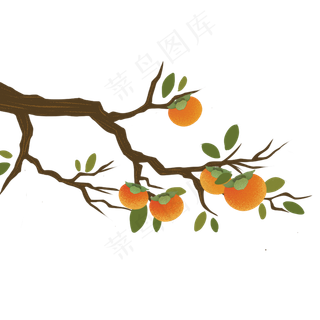 秋天丰收手绘金黄的柿子