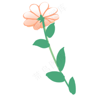 春天夏天唯美花朵