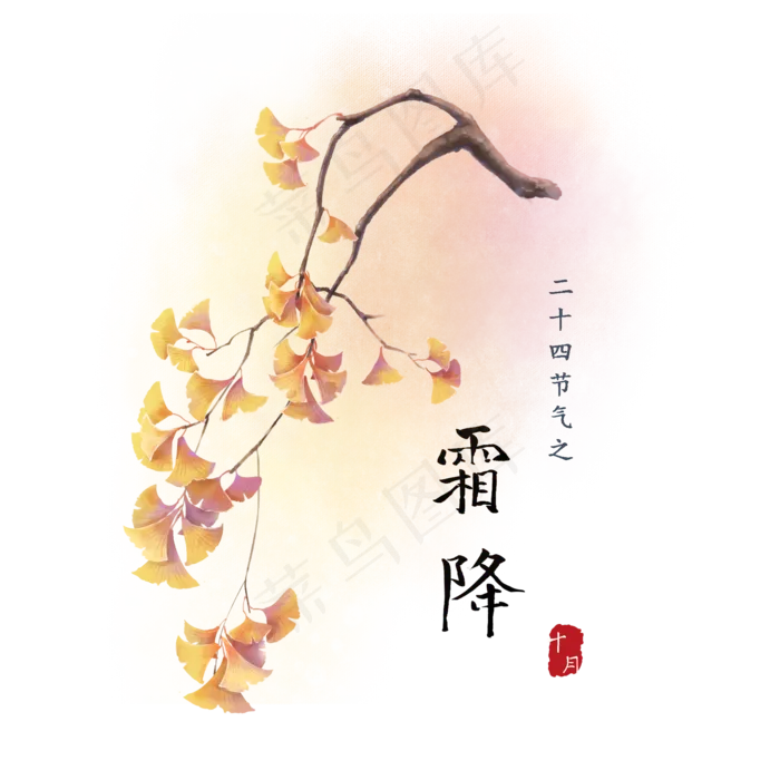 古风水彩霜降银杏(2000X2000(DPI:300))psd模版下载