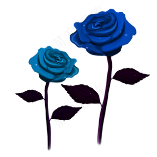浪漫神秘蓝色玫瑰