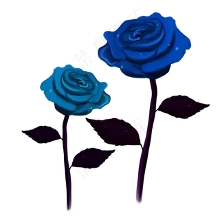 浪漫神秘蓝色玫瑰