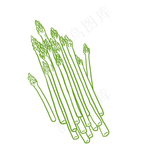 线条速写芦笋PNG(2000X2000(DPI:300))psd模版下载