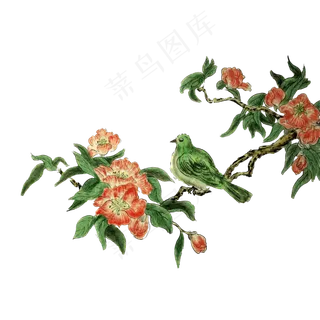 水墨国画花鸟绿鸟PNG红花绿鸟,免抠元素