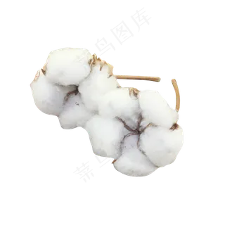 洁白无瑕的棉花,免抠元素