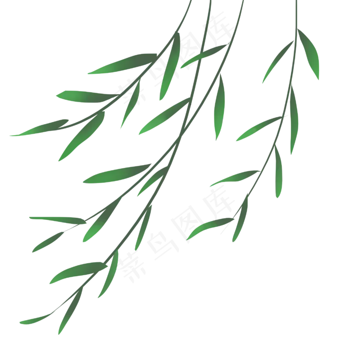 清明节风里的柳枝,免抠元素(3000X3000(DPI:300))psd模版下载