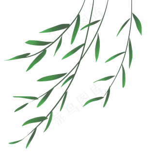 清明节风里的柳枝,免抠元素
