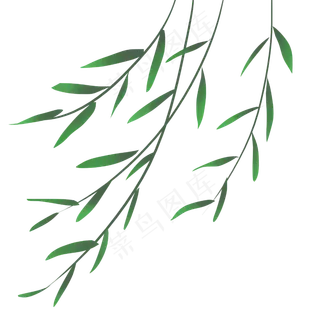 清明节风里的柳枝,免抠元素