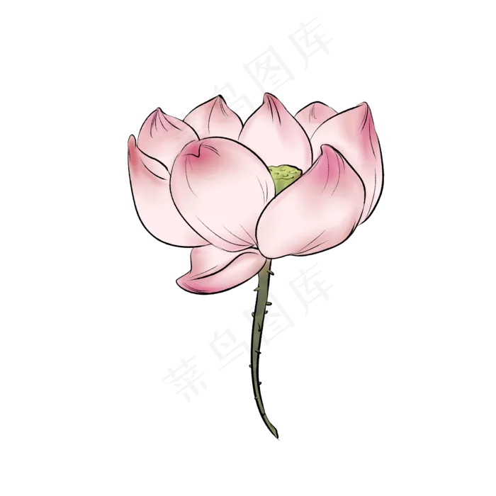水墨风盛开的粉色荷花(2000X2000)