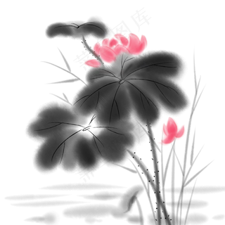 水墨淡彩荷花睡莲中国风,免抠元素