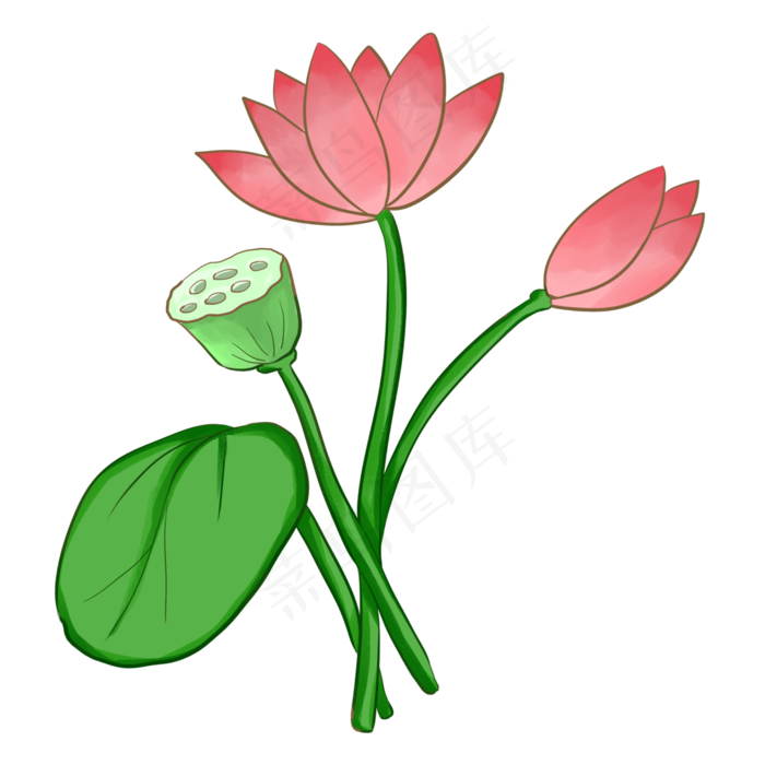 荷花植物花朵(2000X2000(DPI:300))psd模版下载