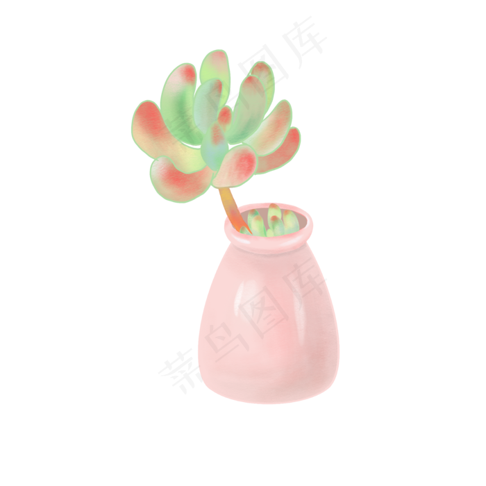 粉嫩八千代多肉免扣图,免抠元素